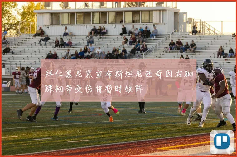 拜仁慕尼黑宣布斯坦尼西奇因右脚踝韧带受伤将暂时缺阵