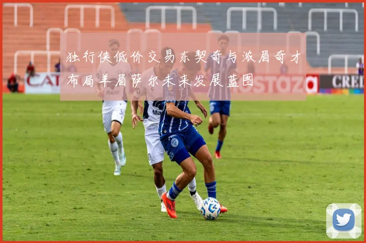 独行侠低价交易东契奇与浓眉奇才布局羊眉萨尔未来发展蓝图